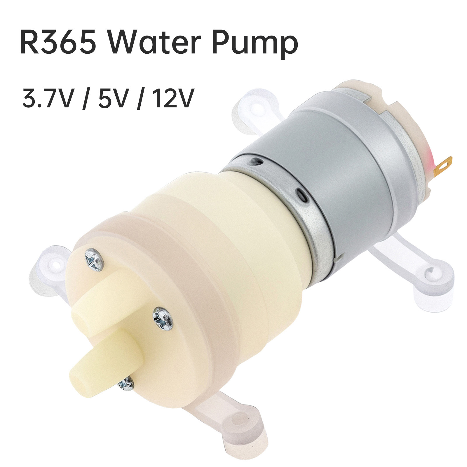 Mini Peristaltic Pump 12V - R365 Micro Pompa Acqua Motore DC