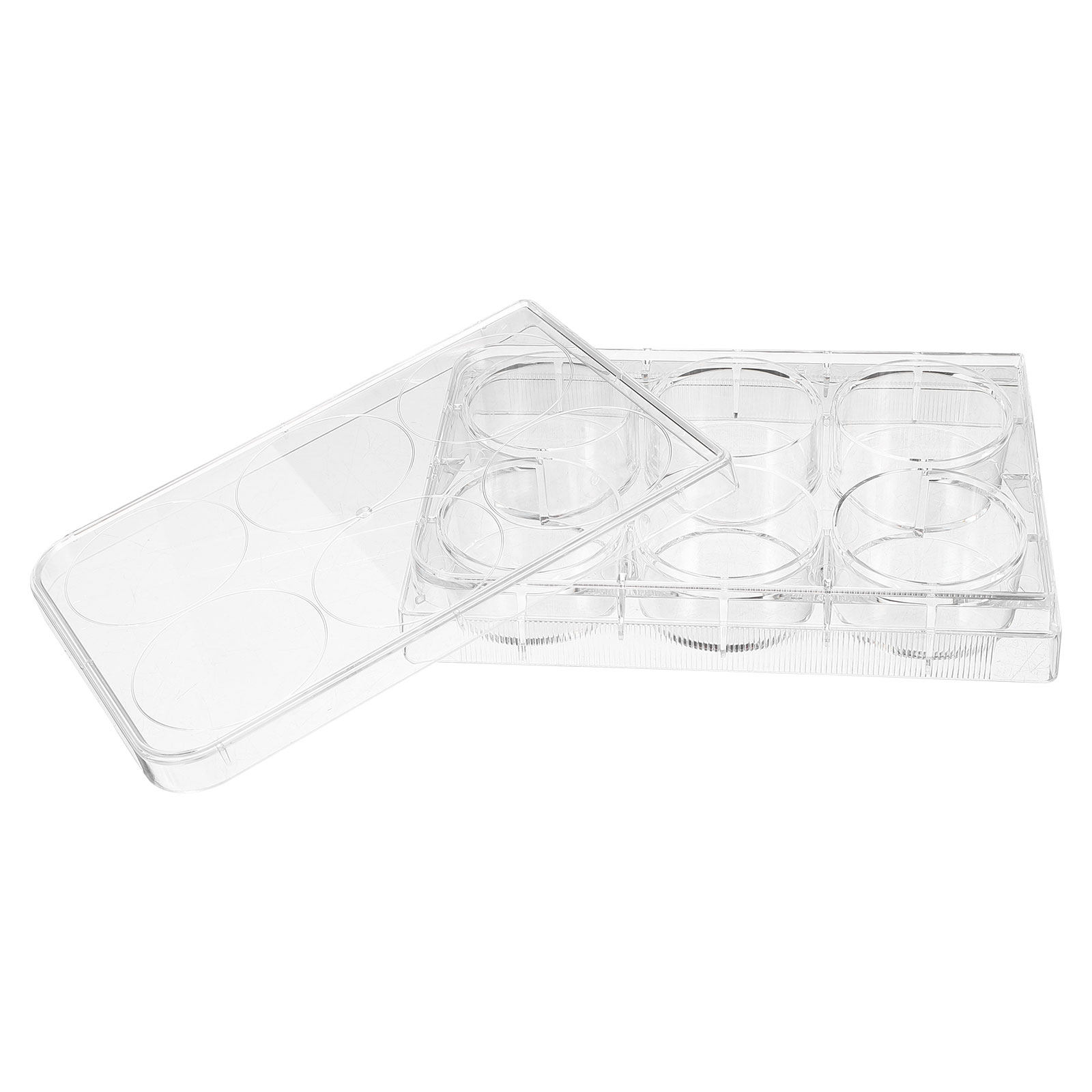 Lab Equipment - Piastra per coltura cellulare da laboratorio,