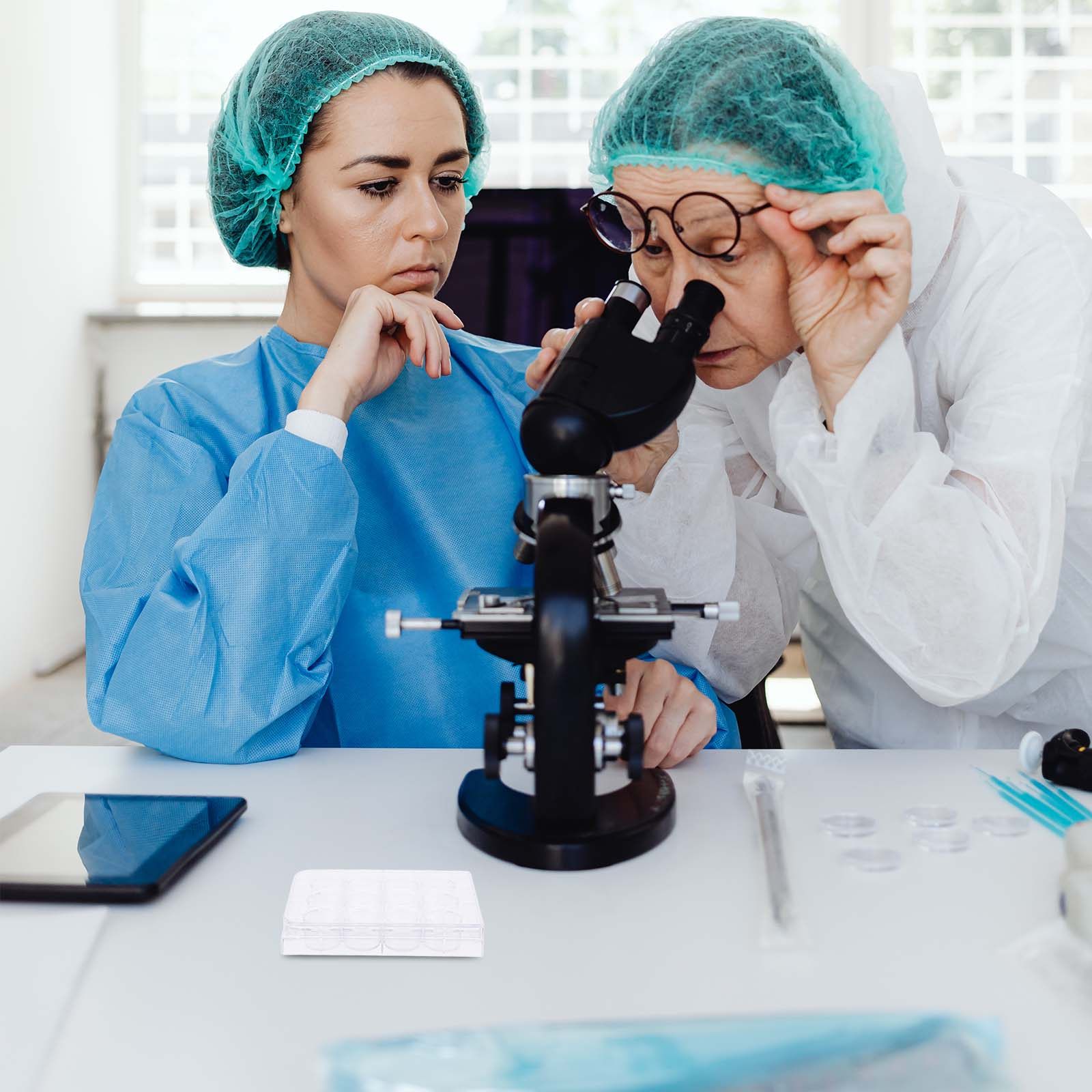 Lab Equipment - Piastra per colture cellulari a 12