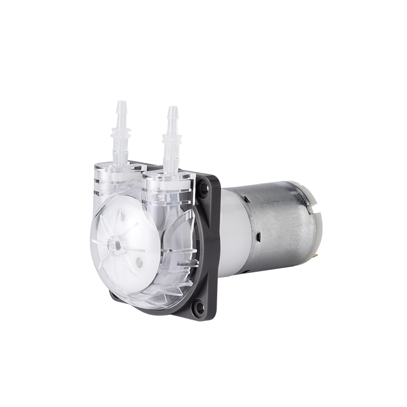 Pompa Peristaltica Micro PENGP - Mini Peristaltic Pump 12V recensione e prezzo