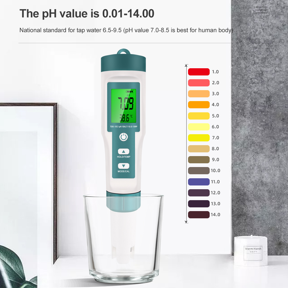 7 in 1 PH TDS EC ORP Salinità  - Ph Meter Digital Water Tester recensione e prezzo