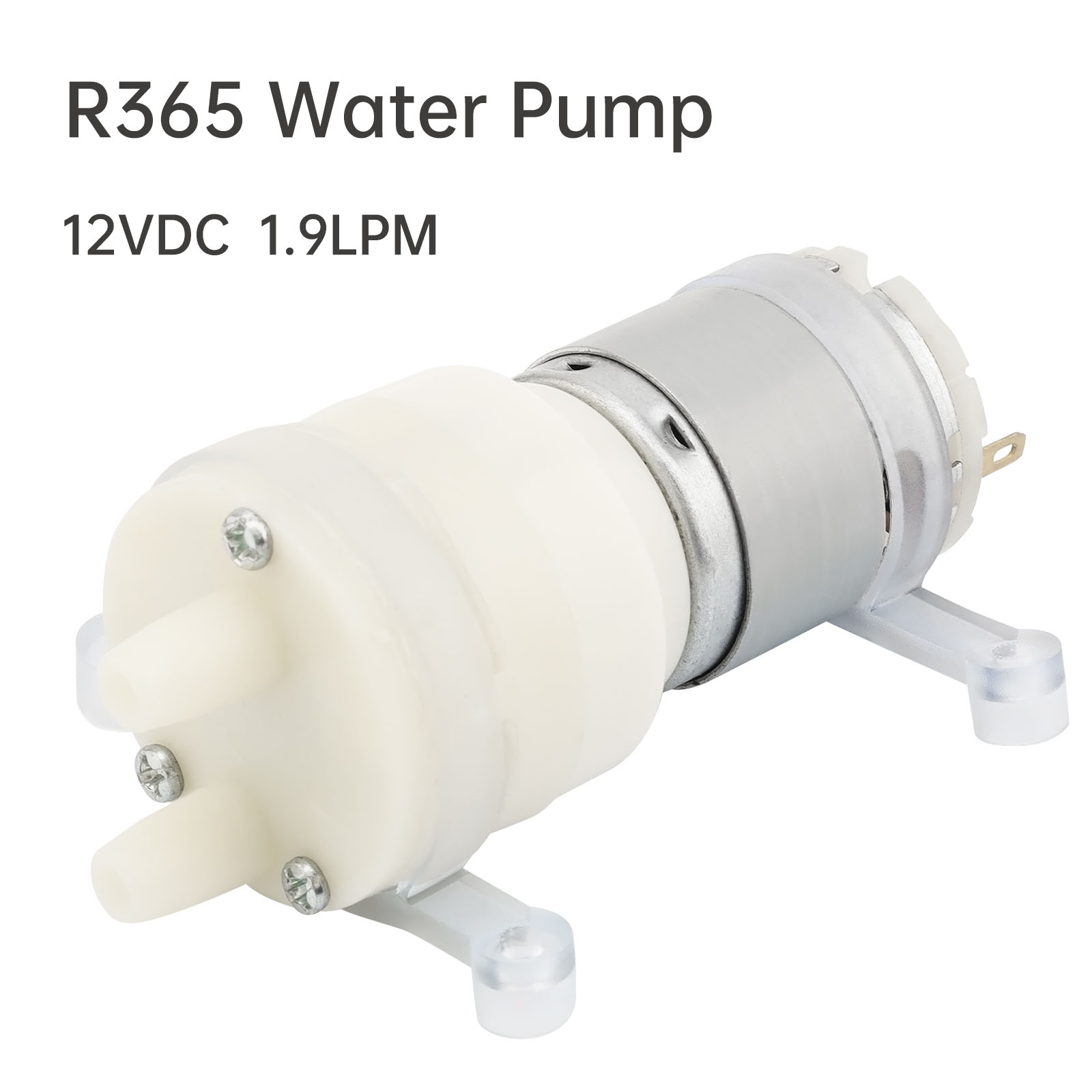 R365 Micro Pompa Acqua Motore  - Mini Peristaltic Pump 12V recensione e prezzo